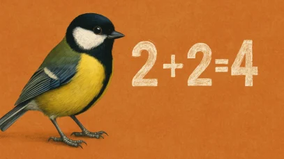 Descubren-que-las-aves-son-sorprendentemente-buenas-en-las-matemáticas-wide_webp