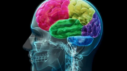 cerebro-piscologia-wide_webp