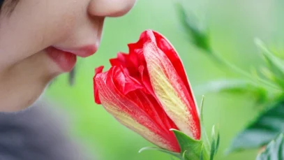 olor-inconsciente-wide_webp