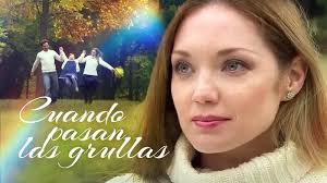 Без названия (4)