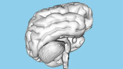 menopausia-afecta-cerebro-de-mujeres-segun-estudio-wide_webp